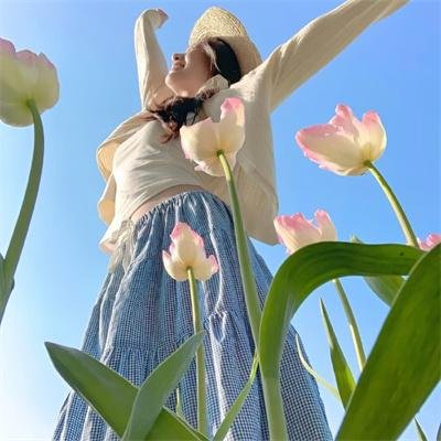 加菲猫：农场大冒险